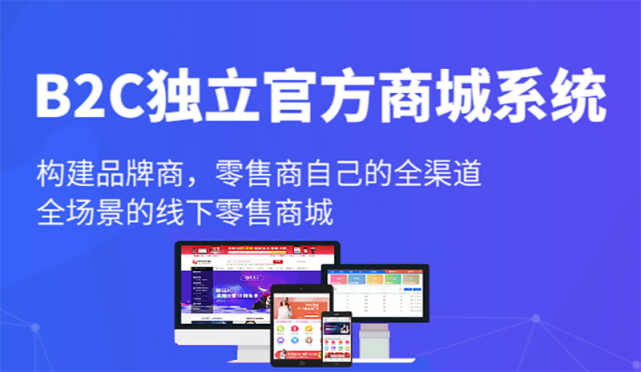 b2c商城系统定制开发一般有哪些方式