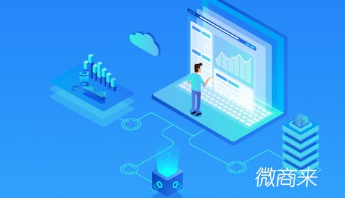 个人可以开发小程序商城吗