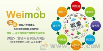 微盟微信商城,福田微信开发,深圳微信公司